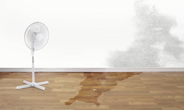 Best Flood restoration services  in Faith, NC