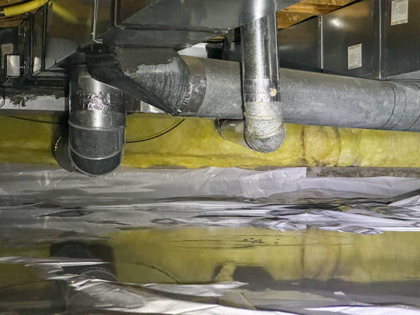 Best Mold removal after water damage  in Faith, NC